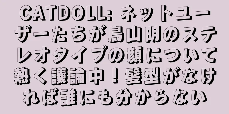 CATDOLL: ネットユーザーたちが鳥山明のステレオタイプの顔について熱く議論中！髪型がなければ誰にも分からない