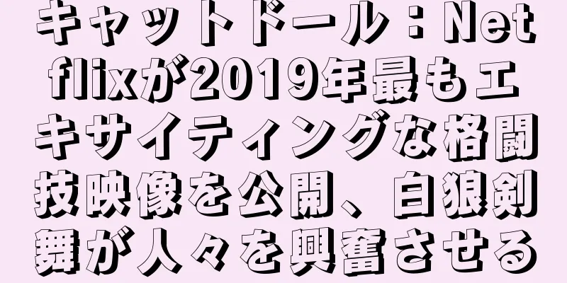キャットドール：Netflixが2019年最もエキサイティングな格闘技映像を公開、白狼剣舞が人々を興奮させる