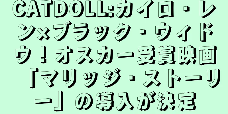 CATDOLL:カイロ・レン×ブラック・ウィドウ！オスカー受賞映画「マリッジ・ストーリー」の導入が決定