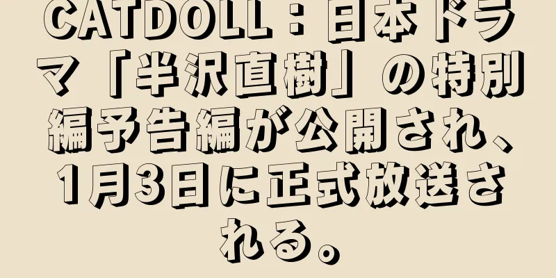 CATDOLL：日本ドラマ「半沢直樹」の特別編予告編が公開され、1月3日に正式放送される。