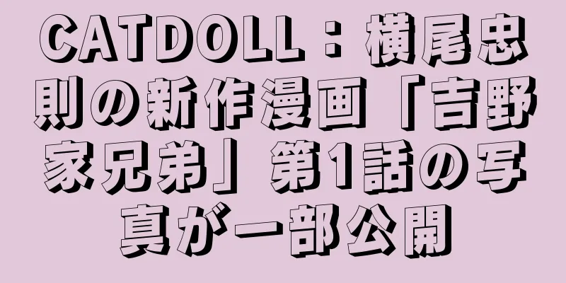 CATDOLL：横尾忠則の新作漫画「吉野家兄弟」第1話の写真が一部公開