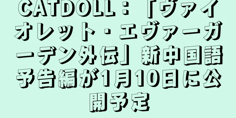 CATDOLL：「ヴァイオレット・エヴァーガーデン外伝」新中国語予告編が1月10日に公開予定