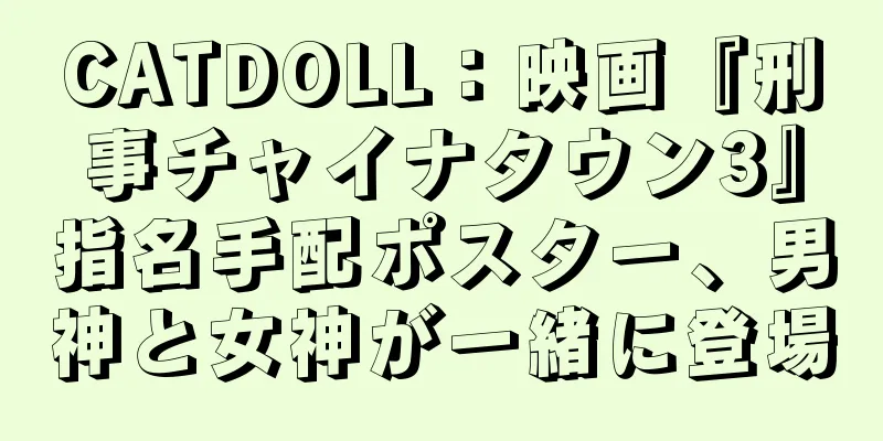CATDOLL：映画『刑事チャイナタウン3』指名手配ポスター、男神と女神が一緒に登場