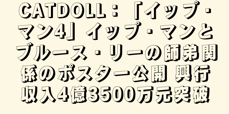 CATDOLL：「イップ・マン4」イップ・マンとブルース・リーの師弟関係のポスター公開 興行収入4億3500万元突破