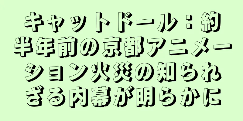 キャットドール：約半年前の京都アニメーション火災の知られざる内幕が明らかに