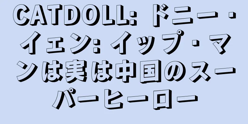 CATDOLL: ドニー・イェン: イップ・マンは実は中国のスーパーヒーロー