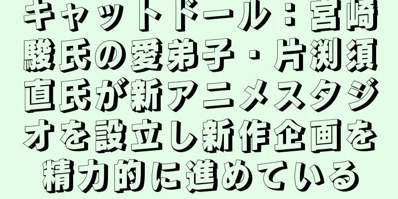 キャットドール：宮崎駿氏の愛弟子・片渕須直氏が新アニメスタジオを設立し新作企画を精力的に進めている