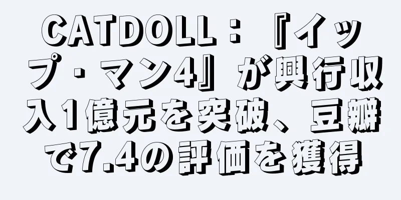 CATDOLL：『イップ・マン4』が興行収入1億元を突破、豆瓣で7.4の評価を獲得