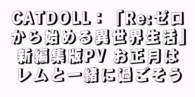 CATDOLL：「Re:ゼロから始める異世界生活」新編集版PV お正月はレムと一緒に過ごそう