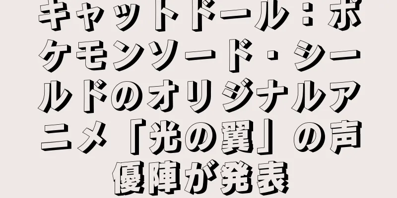キャットドール：ポケモンソード・シールドのオリジナルアニメ「光の翼」の声優陣が発表