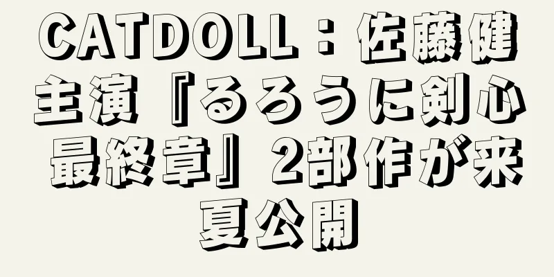 CATDOLL：佐藤健主演『るろうに剣心 最終章』2部作が来夏公開