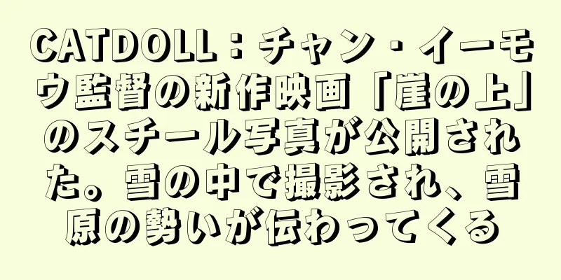 CATDOLL：チャン・イーモウ監督の新作映画「崖の上」のスチール写真が公開された。雪の中で撮影され、雪原の勢いが伝わってくる