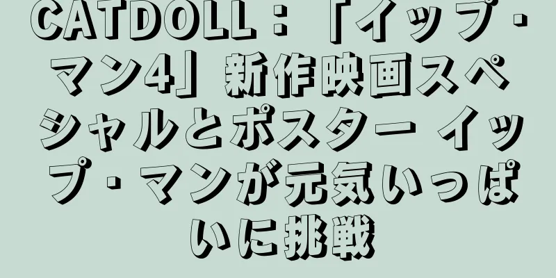 CATDOLL：「イップ・マン4」新作映画スペシャルとポスター イップ・マンが元気いっぱいに挑戦