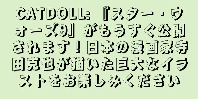 CATDOLL: 『スター・ウォーズ9』がもうすぐ公開されます！日本の漫画家寺田克也が描いた巨大なイラストをお楽しみください