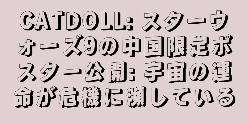 CATDOLL: スターウォーズ9の中国限定ポスター公開: 宇宙の運命が危機に瀕している