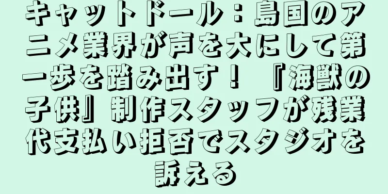 キャットドール：島国のアニメ業界が声を大にして第一歩を踏み出す！ 『海獣の子供』制作スタッフが残業代支払い拒否でスタジオを訴える