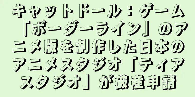 キャットドール：ゲーム「ボーダーライン」のアニメ版を制作した日本のアニメスタジオ「ティアスタジオ」が破産申請