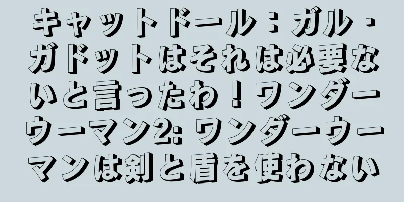 キャットドール：ガル・ガドットはそれは必要ないと言ったわ！ワンダーウーマン2: ワンダーウーマンは剣と盾を使わない