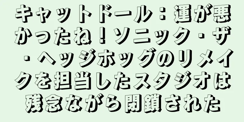キャットドール：運が悪かったね！ソニック・ザ・ヘッジホッグのリメイクを担当したスタジオは残念ながら閉鎖された
