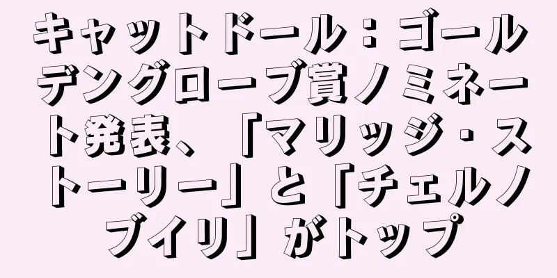 キャットドール：ゴールデングローブ賞ノミネート発表、「マリッジ・ストーリー」と「チェルノブイリ」がトップ