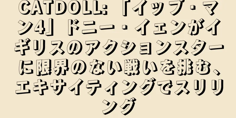 CATDOLL: 「イップ・マン4」ドニー・イェンがイギリスのアクションスターに限界のない戦いを挑む、エキサイティングでスリリング