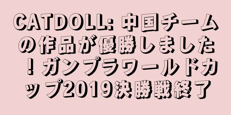 CATDOLL: 中国チームの作品が優勝しました！ガンプラワールドカップ2019決勝戦終了