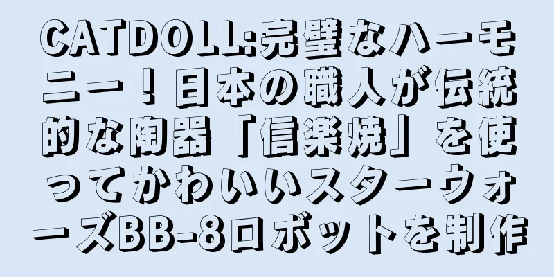 CATDOLL:完璧なハーモニー！日本の職人が伝統的な陶器「信楽焼」を使ってかわいいスターウォーズBB-8ロボットを制作