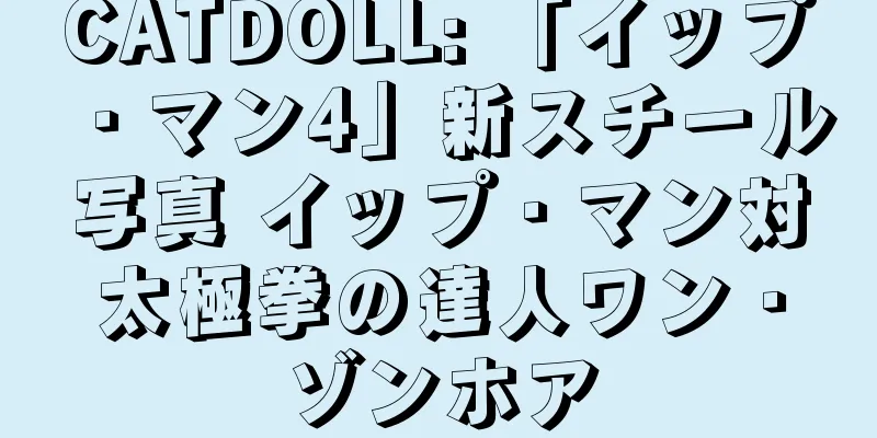 CATDOLL: 「イップ・マン4」新スチール写真 イップ・マン対太極拳の達人ワン・ゾンホア