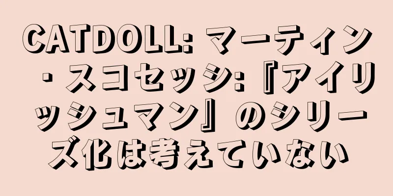 CATDOLL: マーティン・スコセッシ:『アイリッシュマン』のシリーズ化は考えていない