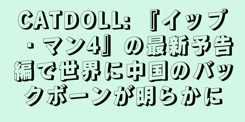CATDOLL: 『イップ・マン4』の最新予告編で世界に中国のバックボーンが明らかに
