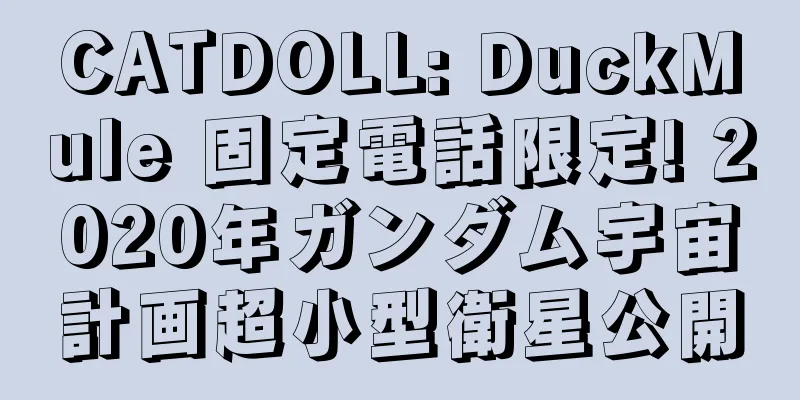 CATDOLL: DuckMule 固定電話限定! 2020年ガンダム宇宙計画超小型衛星公開