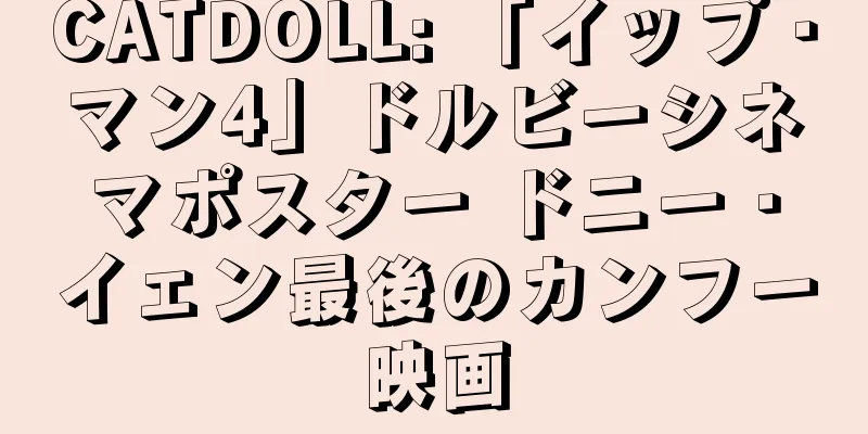 CATDOLL: 「イップ・マン4」ドルビーシネマポスター ドニー・イェン最後のカンフー映画