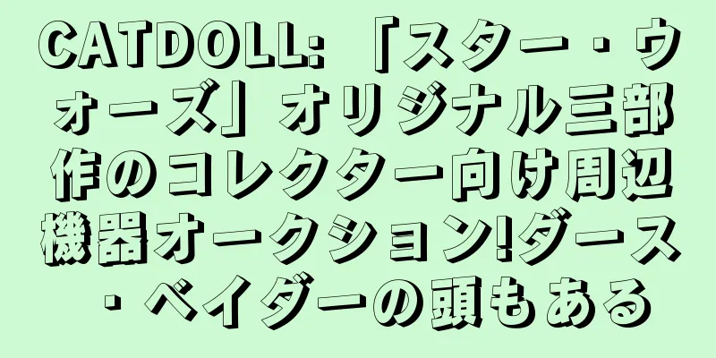 CATDOLL: 「スター・ウォーズ」オリジナル三部作のコレクター向け周辺機器オークション!ダース・ベイダーの頭もある