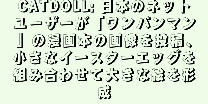 CATDOLL: 日本のネットユーザーが「ワンパンマン」の漫画本の画像を投稿、小さなイースターエッグを組み合わせて大きな絵を形成