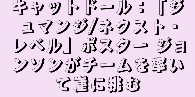 キャットドール：「ジュマンジ/ネクスト・レベル」ポスター ジョンソンがチームを率いて崖に挑む