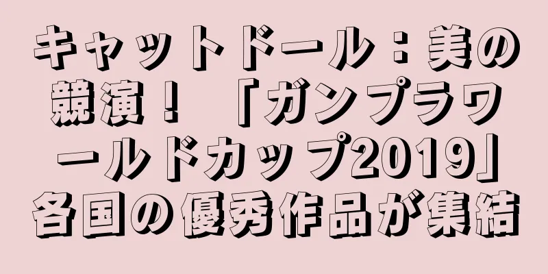 キャットドール：美の競演！ 「ガンプラワールドカップ2019」各国の優秀作品が集結
