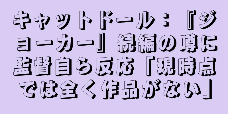 キャットドール：『ジョーカー』続編の噂に監督自ら反応「現時点では全く作品がない」