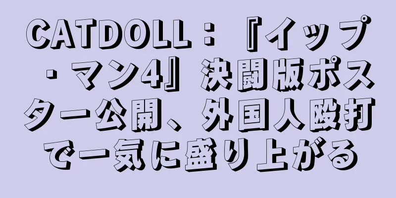 CATDOLL：『イップ・マン4』決闘版ポスター公開、外国人殴打で一気に盛り上がる