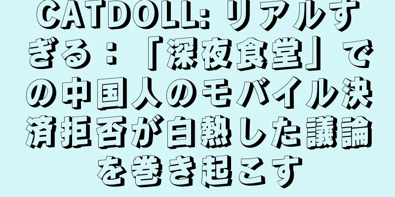 CATDOLL: リアルすぎる：「深夜食堂」での中国人のモバイル決済拒否が白熱した議論を巻き起こす