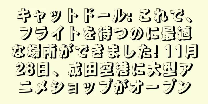 キャットドール: これで、フライトを待つのに最適な場所ができました! 11月28日、成田空港に大型アニメショップがオープン