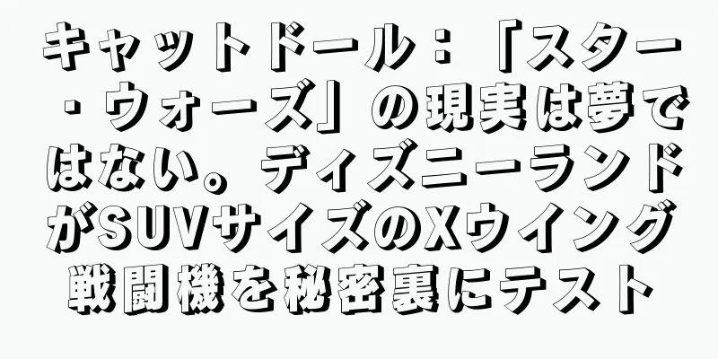 キャットドール：「スター・ウォーズ」の現実は夢ではない。ディズニーランドがSUVサイズのXウイング戦闘機を秘密裏にテスト