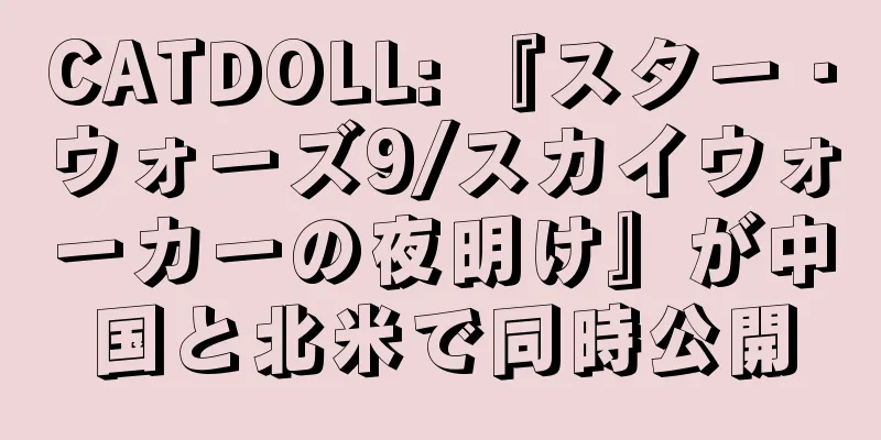 CATDOLL: 『スター・ウォーズ9/スカイウォーカーの夜明け』が中国と北米で同時公開