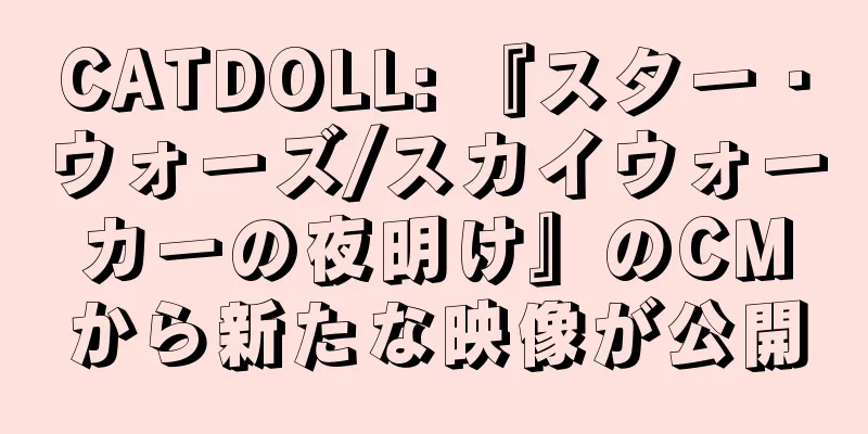 CATDOLL: 『スター・ウォーズ/スカイウォーカーの夜明け』のCMから新たな映像が公開