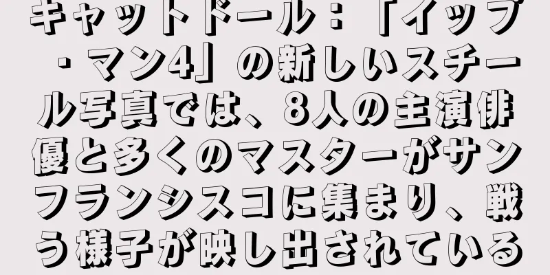 キャットドール：「イップ・マン4」の新しいスチール写真では、8人の主演俳優と多くのマスターがサンフランシスコに集まり、戦う様子が映し出されている