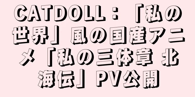 CATDOLL：「私の世界」風の国産アニメ「私の三体章 北海伝」PV公開