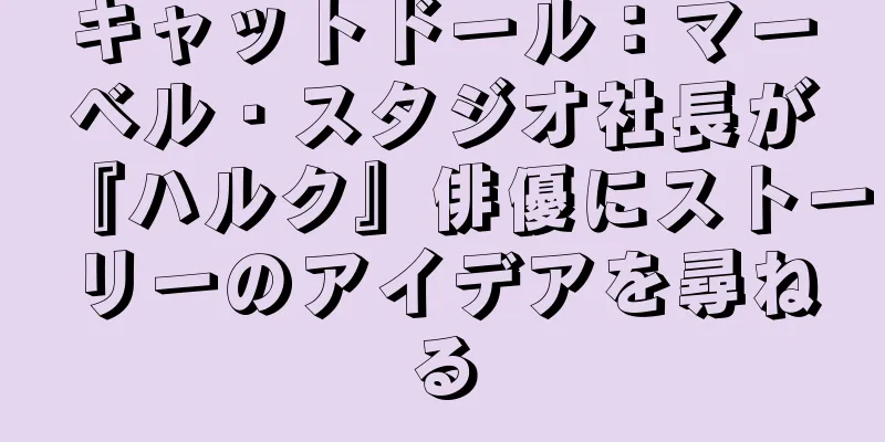 キャットドール：マーベル・スタジオ社長が『ハルク』俳優にストーリーのアイデアを尋ねる