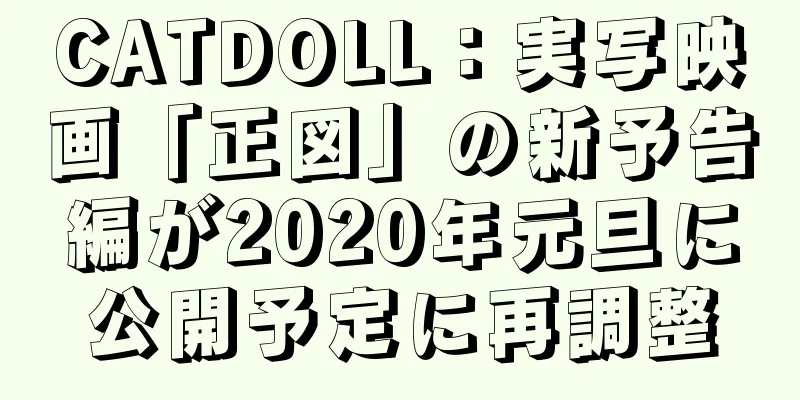 CATDOLL：実写映画「正図」の新予告編が2020年元旦に公開予定に再調整