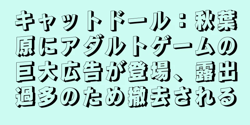 キャットドール：秋葉原にアダルトゲームの巨大広告が登場、露出過多のため撤去される