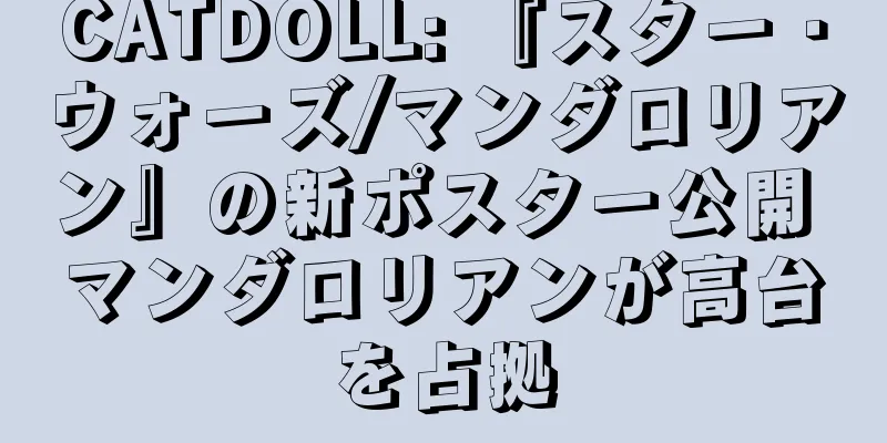 CATDOLL: 『スター・ウォーズ/マンダロリアン』の新ポスター公開 マンダロリアンが高台を占拠