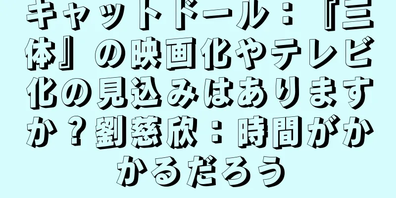 キャットドール：『三体』の映画化やテレビ化の見込みはありますか？劉慈欣：時間がかかるだろう